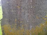 image of grave number 788751